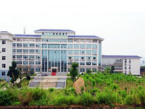 Guangdong Information Eng