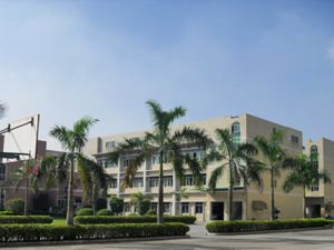 Dongguan Taolue group