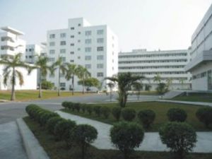 Dongguan Yazhi Co., Ltd